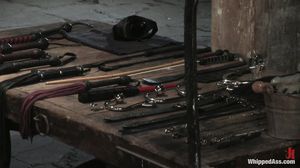 27-01-2020WhIpPeD@$$