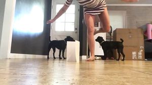 Onlifans - Penny Pax Compilation