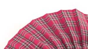 Chanel Gray - Hard Anal School Girl