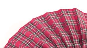 Chanel Gray - Hard Anal School Girl