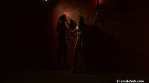 Shemale fucks blindfolded man slave