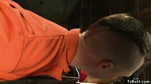 Busty shemale lawyer fucks her client