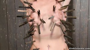 Redhead is caned and whipped in bondage