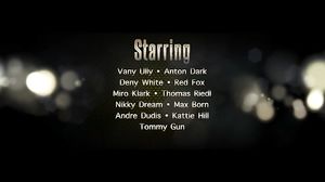 Pimmelbande.Gold.Im.Rudel.Bestrahlt.XXX.DVDRip.x264-PBU