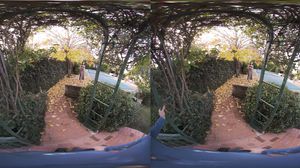 Evelyn Claire - Secret Garden