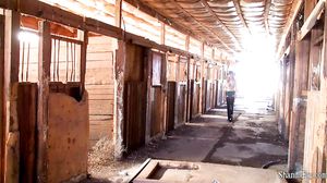 Horse MILF Fucking In The Barn