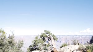 Daisy Stone - Grand Canyon blowjob