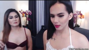 Shemale girlfriends fucking on cam