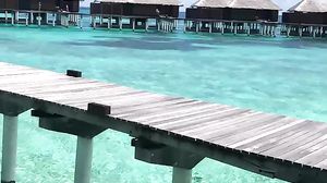 Angel - Sea Sex And Sun