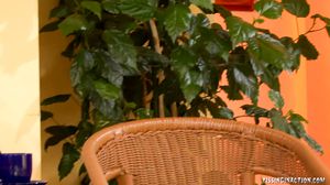 PissingInAction - 2009-10-16