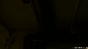 Busty shemale anal fucks black guy