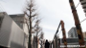 Mesubuta - 120608 519