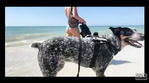 Sparksgowild - Sex On The Beach Fucking And Sucking Cle