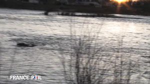 La France A Poil - Horny Brunette Uses Huge Tits To Get