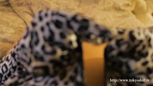 TokyoDoll - Adriana C - 006B