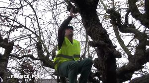 La France A Poil - The Top Manager Is A Busty Blond Cou