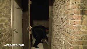 La France A Poil - Young And Lovely Bourgeoise Gets Ana