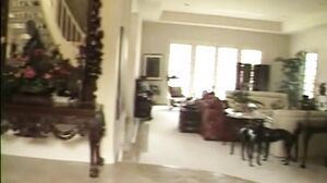 The Voyeur 23-Chloe Dior