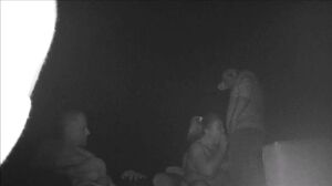 AdultTheater - Jfs Theater0319 002