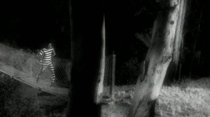 Penthouse SiteRip - 15446_85693