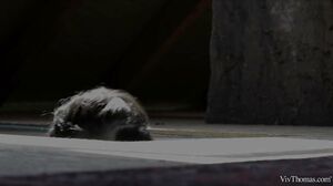 Luna Corazon & Shrima Malati - Derriere Episode 2 - The Attic