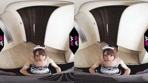 Japanese Vr video ZW