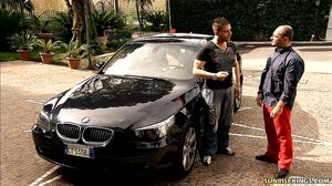 SunriseKing - Boroka and Morgan