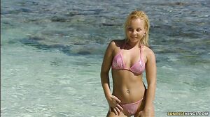 SunriseKing - Sharka Blue