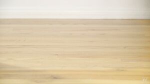 Kiara Cole, Vina Sky - Birthday Surprise in HD