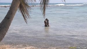 SunriseKing - Black Angelica