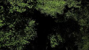 CommonSensual - Dawn