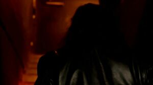 CommonSensual - Heat