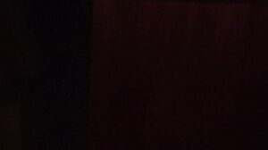 Dellaitwins 11 - Eveline Dellai - Silvia Dellai