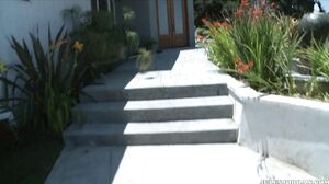 Andi Anderson Interracial DP