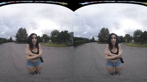 Nikki Fox - Summer's End