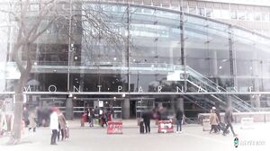 Deep anal stretching and DP with dildo for naughty French babe Sophia Laure