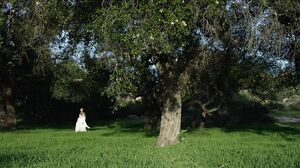 Baremaidens-Jade Nile Walk In The Woods