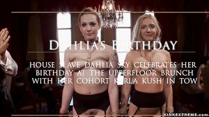 Bound slaves fuck at brunch party