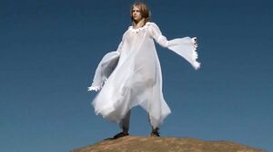 Baremaidens - Bree Daniels - Joining of the Shield