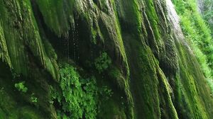 Barimaidens Arya Faye - Shower