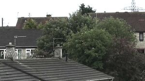 NerdPervert - Devon Breeze Cumslut Wife