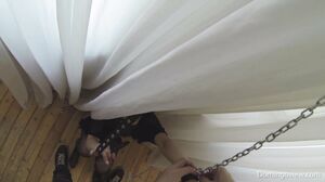 DomingoView - Selena BTS 2