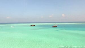 The Girls Next Door Vol 2