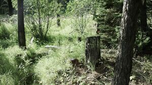 Brea Daniels And Raven - The Crossing