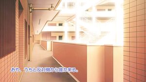 The Busty JK Living on the Same Floor Accidently Came I