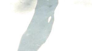 Carmella Bing Brianna Love