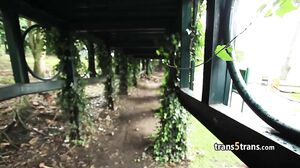 Busty shemale fucked by stranger