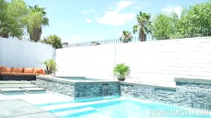 Dee Williams - Interracial Deal Maker