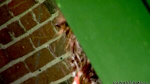 LowArtFilms - Alyssa Reece - Nikki Rhodes