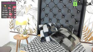 ariana_valdirii January-19-2021 13-12-22 @ Chaturbate W